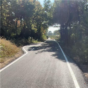 道路標(biāo)線(xiàn)工程